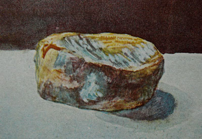 Charlotte Henneberg, Briekäse mit guter Schimmeldecke, aber mit falscher (brauner) Schmiere