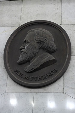 Ilja Iljitsch Metschnikow