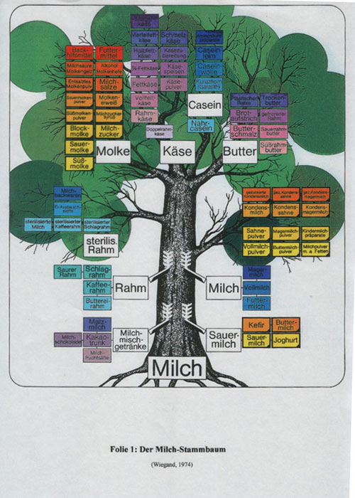 Der Milch-Stammbaum, Wiegand, 1974